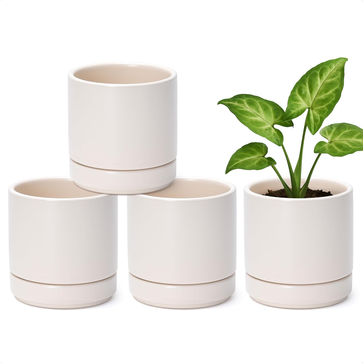 D'vine Dev Set of 4 Small Ceramic Plant Pots for Succulents