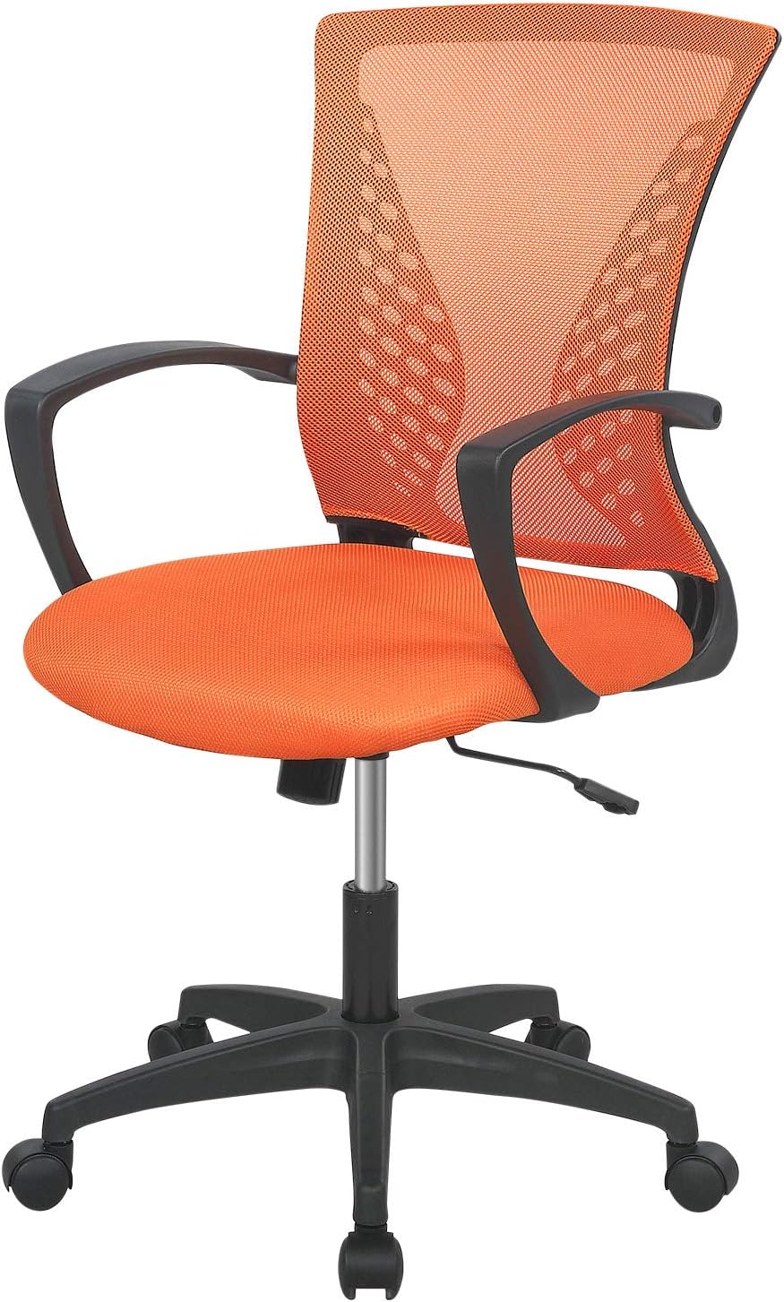 Home Office Chair with Lumbar Support and Adjustable Features