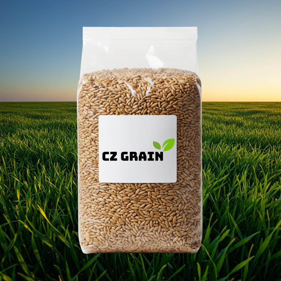Winter Rye Seeds Non-GMO Cover Crop for Soil Health & Erosion