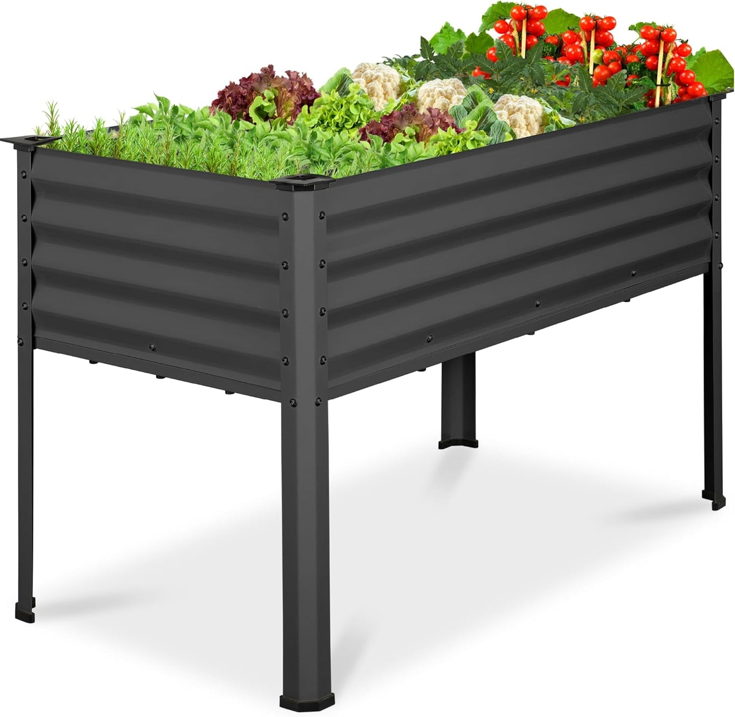 Galvanized Raised Garden Bed for Comfortable Gardening Experience