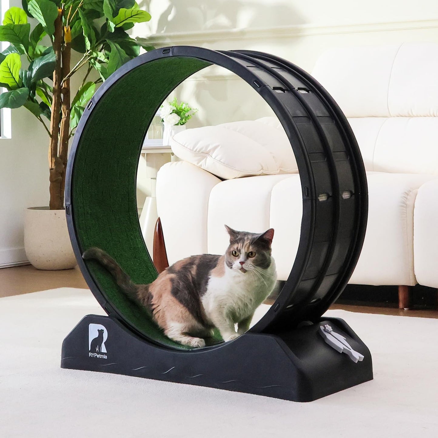 Cat Exercise Wheel for Indoor Fitness and Health - 31.5 Inch