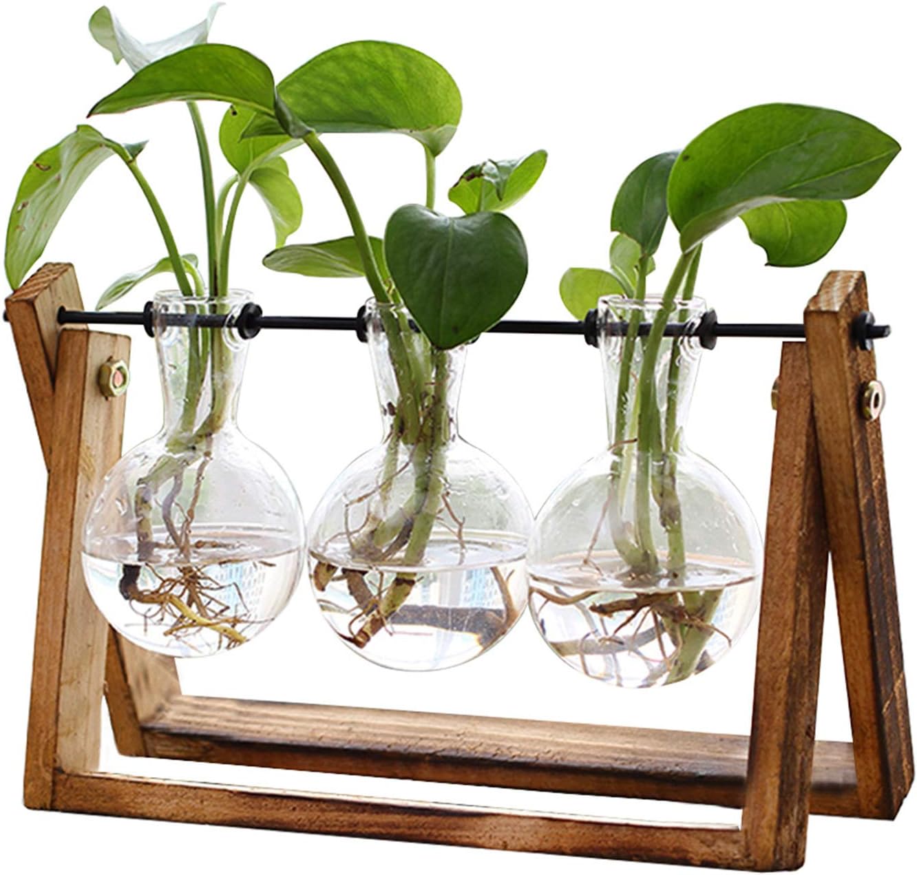 Retro Hydroponic Plant Terrarium Set