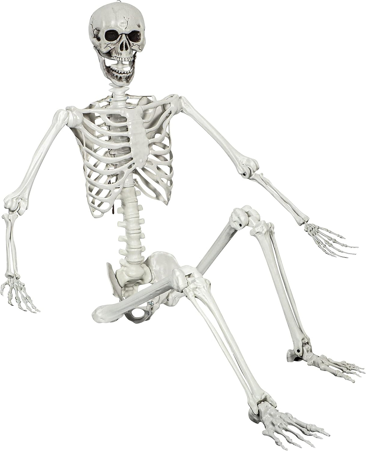 5.4ft Halloween Posable Skeleton for Realistic Decor and Fun