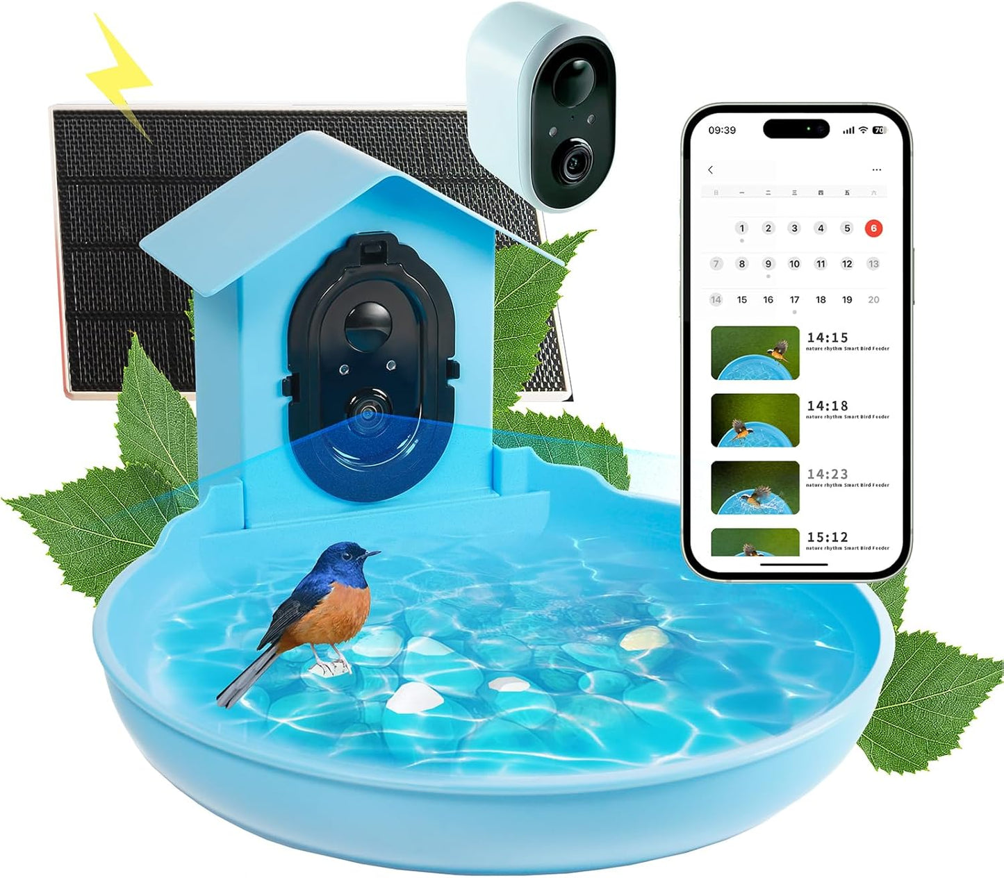 Tranquil Garden Essential: Bird Bath by Nature's Rhythm