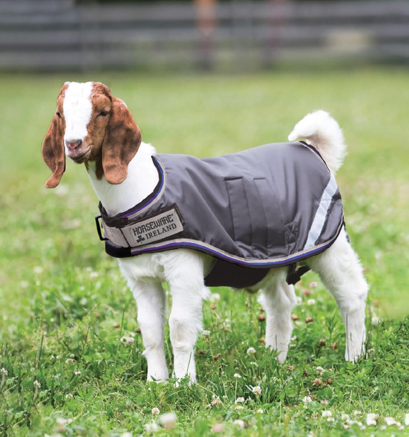 Horseware Goat Coat 100g Light for Ultimate Comfort and Fit