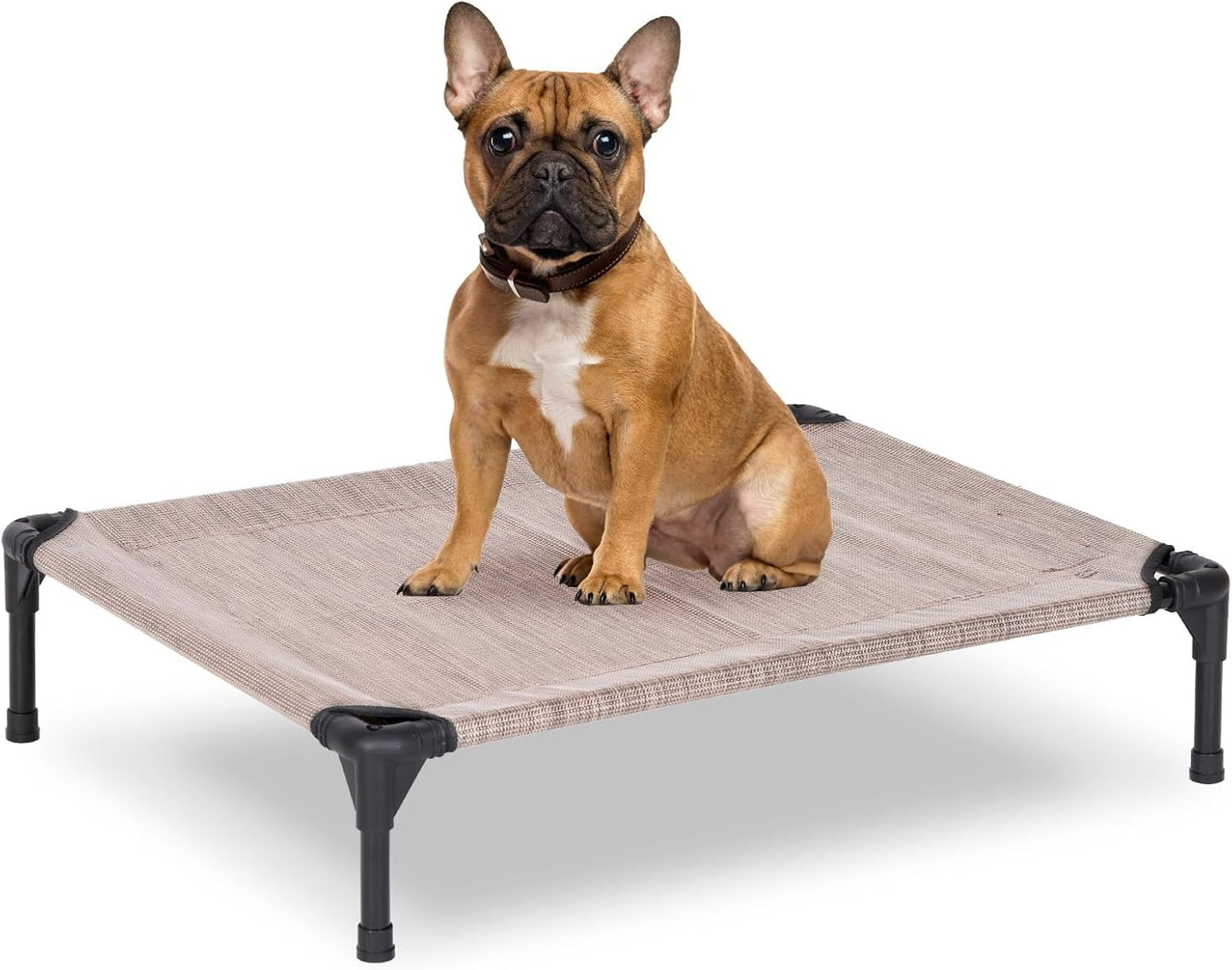 Elevated Dog Bed for Outdoor Use - Medium Raised Dog Cot