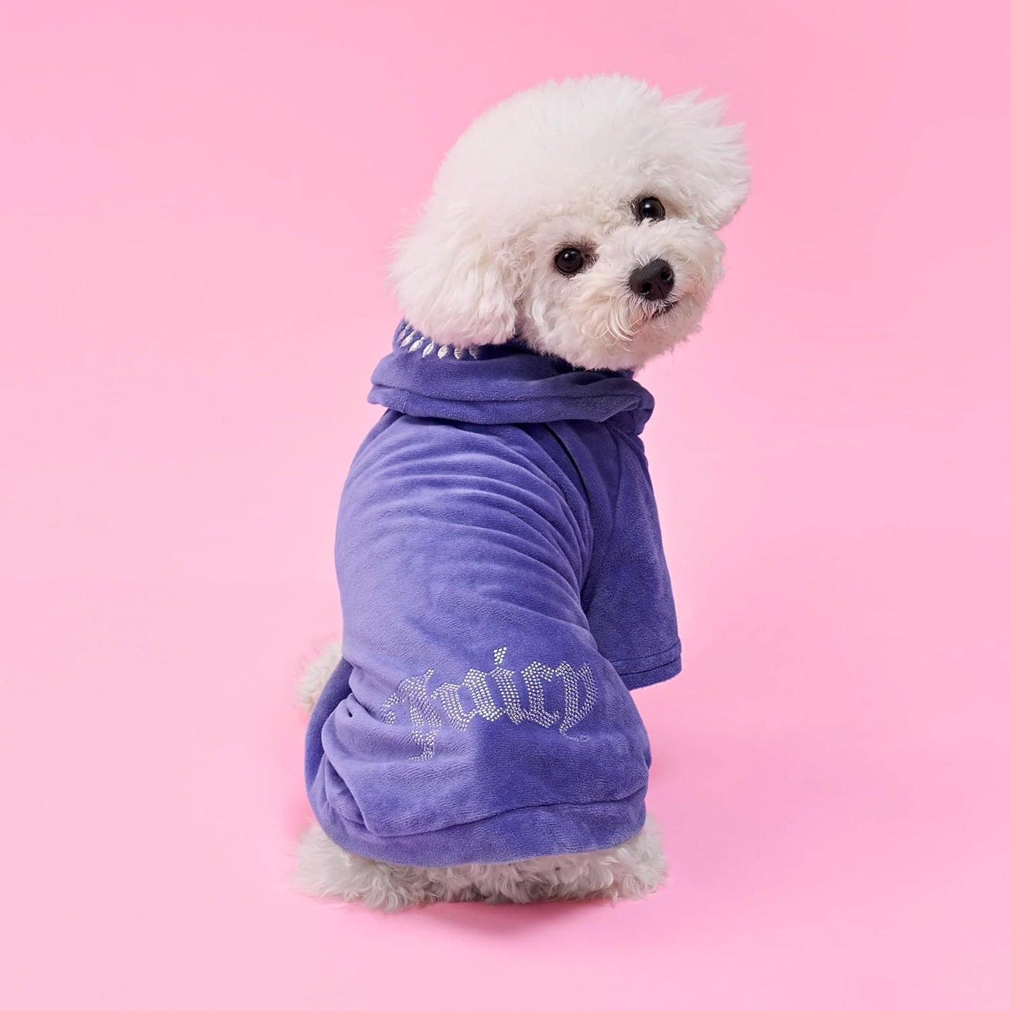 Royal Purple Juicy Couture Pet Hoodie for Small Pets