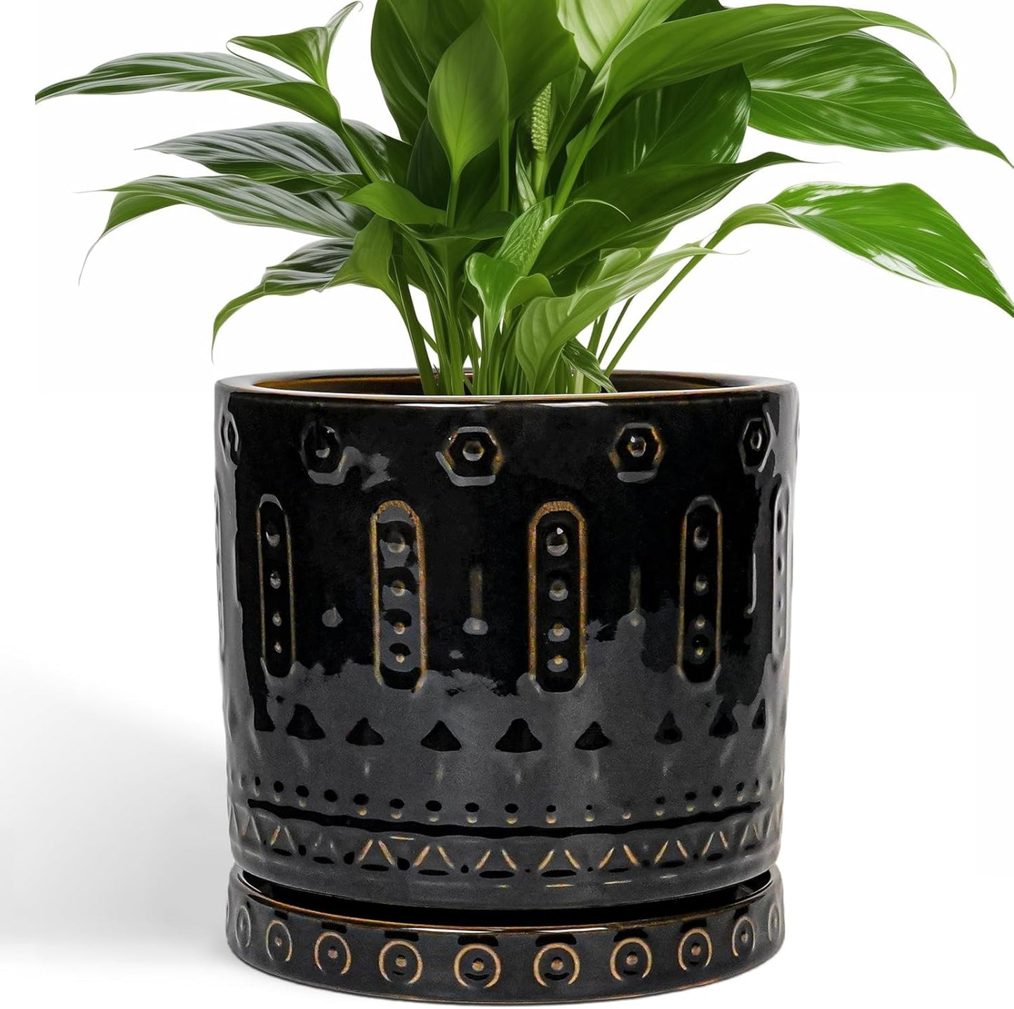 Stylish 8 Inch Ceramic Pot for Plants with Drainage Hole