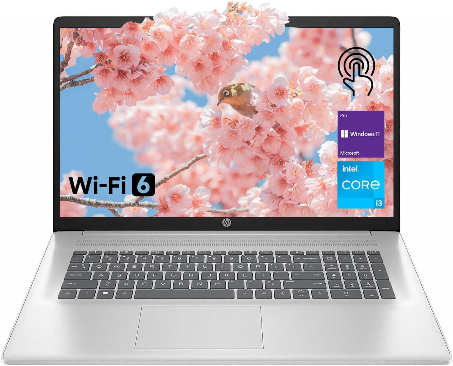 HP High-Performance 17.3in Laptop with Touchscreen and 8 Cores