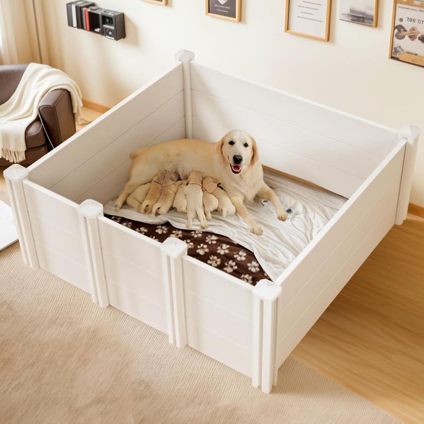 Whelping Box for Large Breed Dogs - Spacious & Secure Design