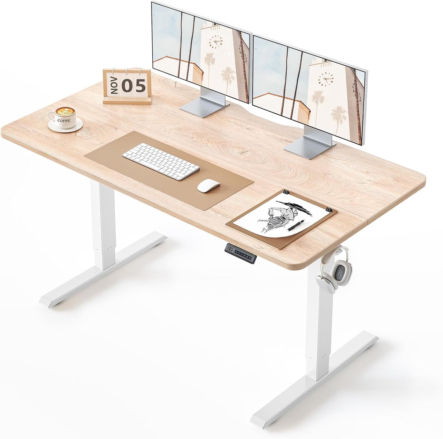 BANTI 55 24 Inches Electric Height Adjustable Standing Desk