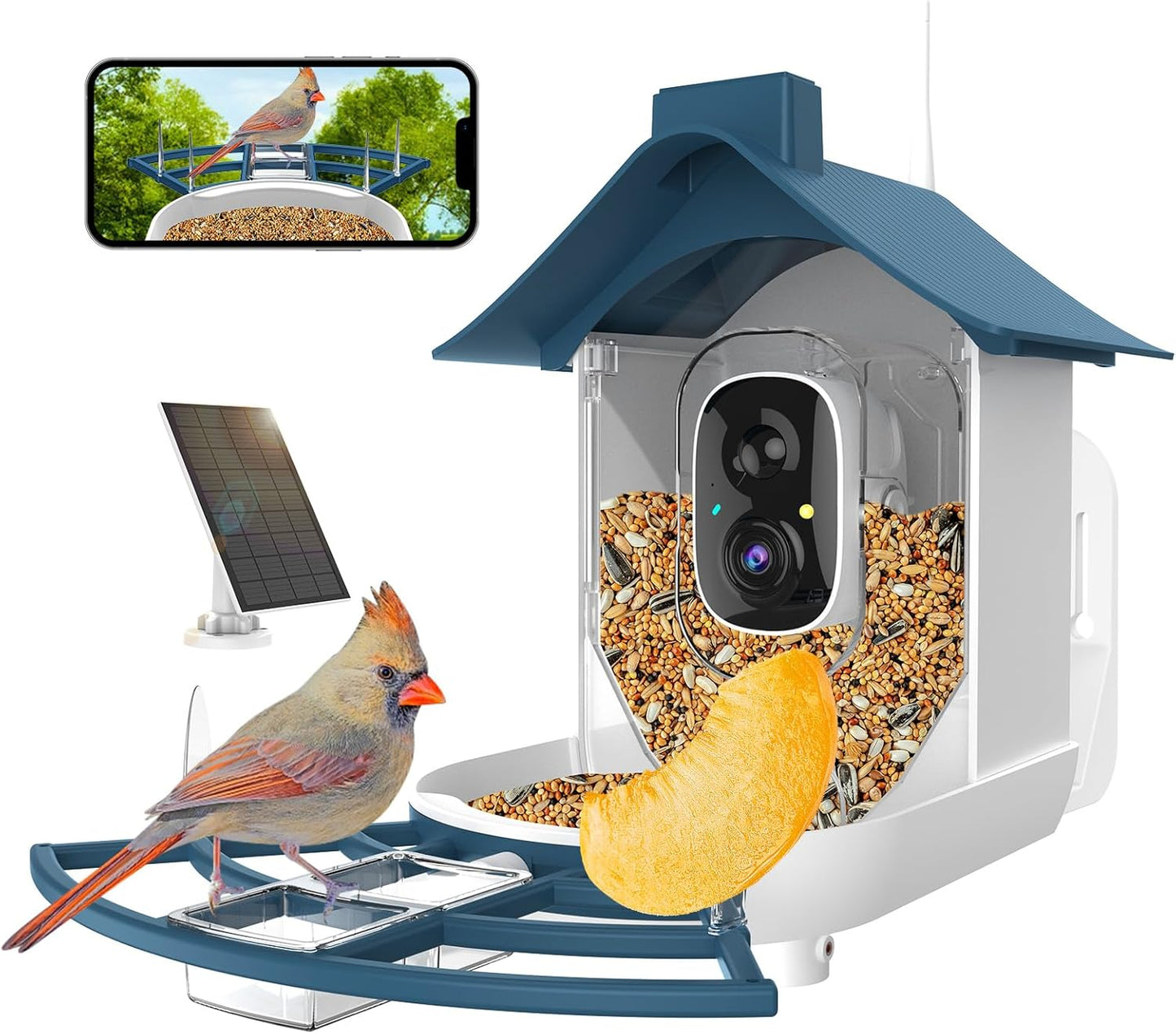 Navy Blue Smart Bird Feeder Camera with AI - FHD Live View