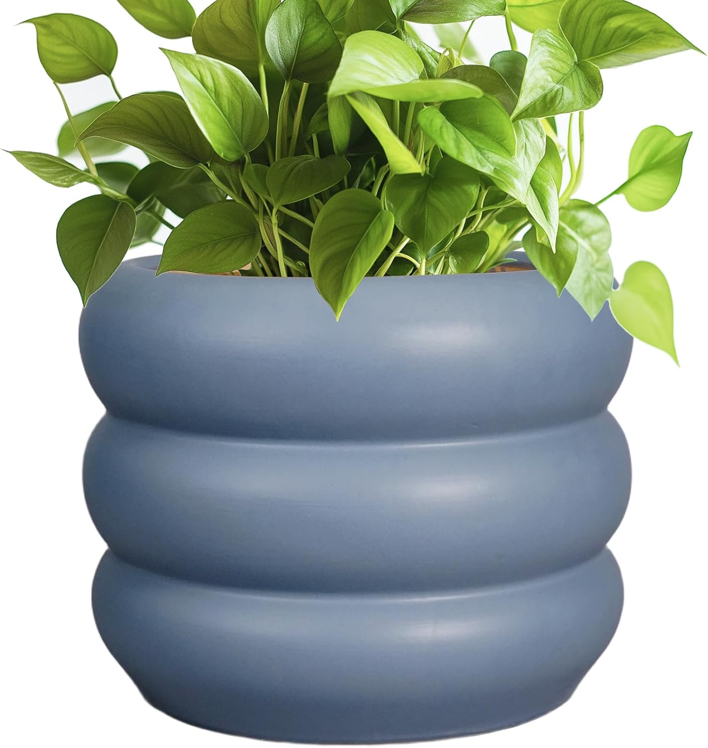 SQOWL Ceramic Plant Pot - 8 Inch Decorative Planter for Plants