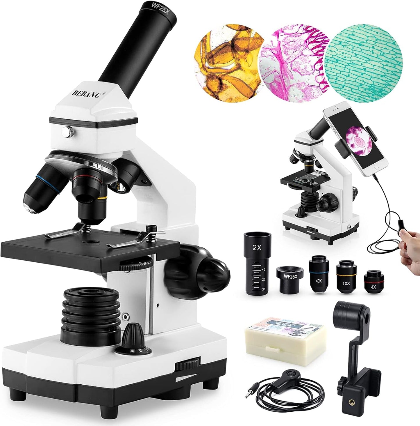 100X-2000X Microscope for Adults and Kids - BEBANG Compound