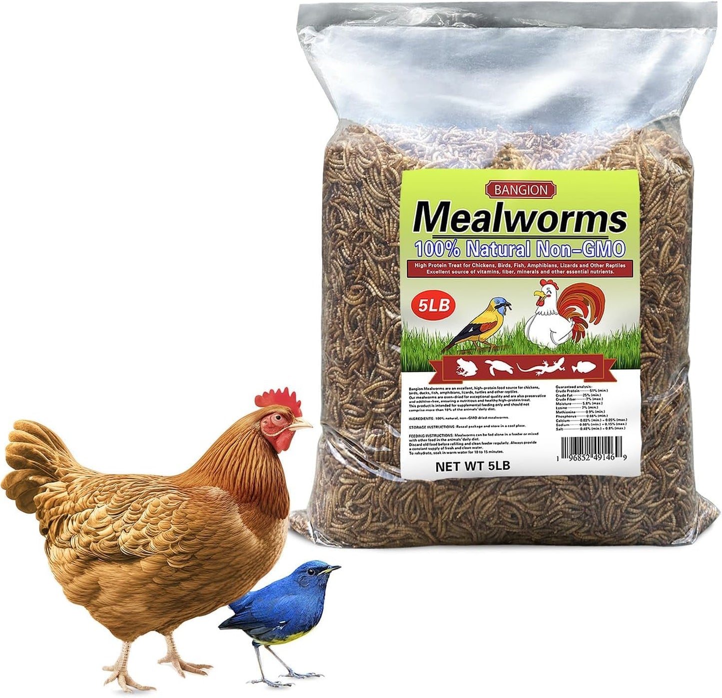 Organic Dried Mealworms for Chickens - High Protein Treats