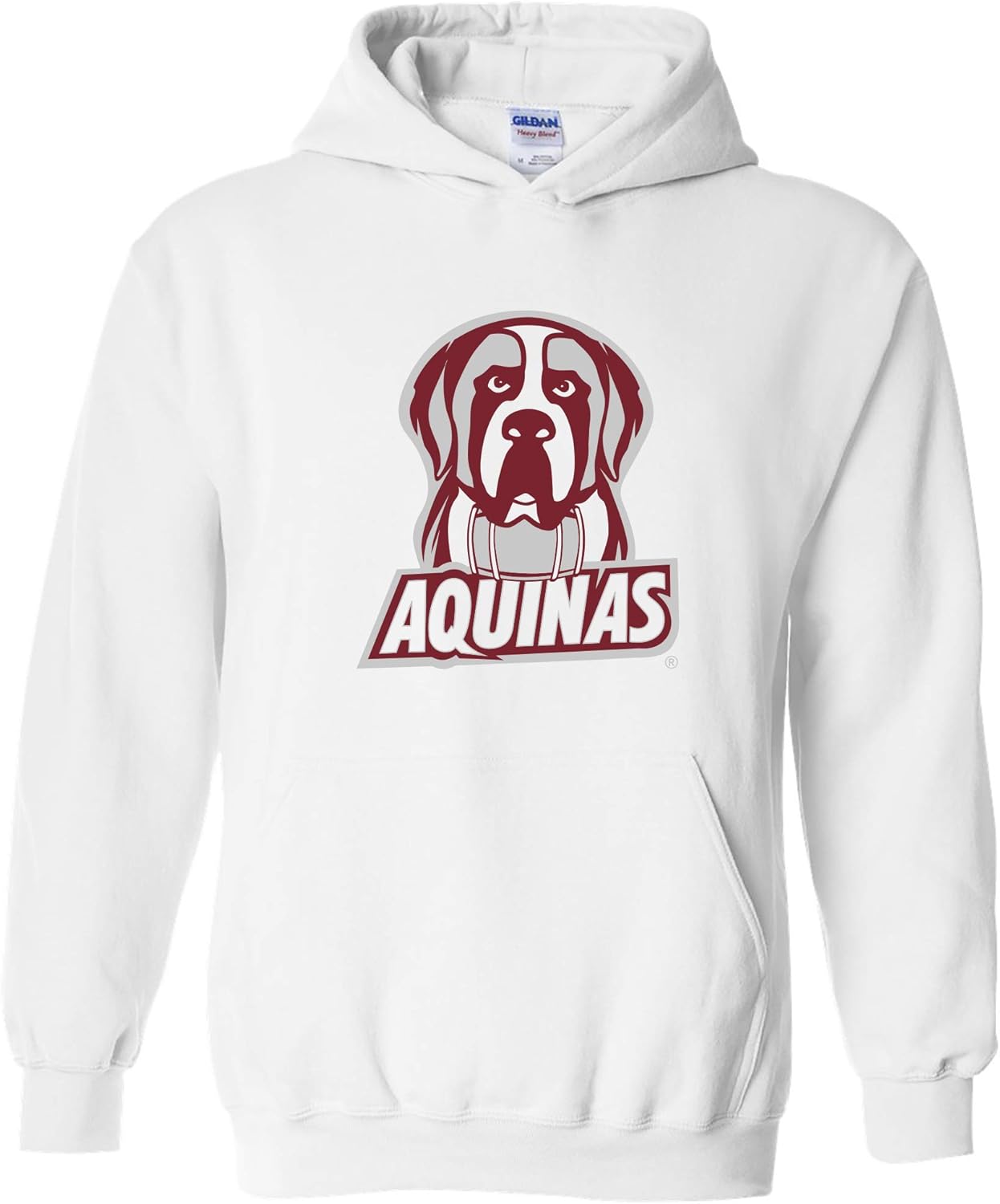 UGP Campus Apparel NCAA Primary Logo Hoodie for School Spirit