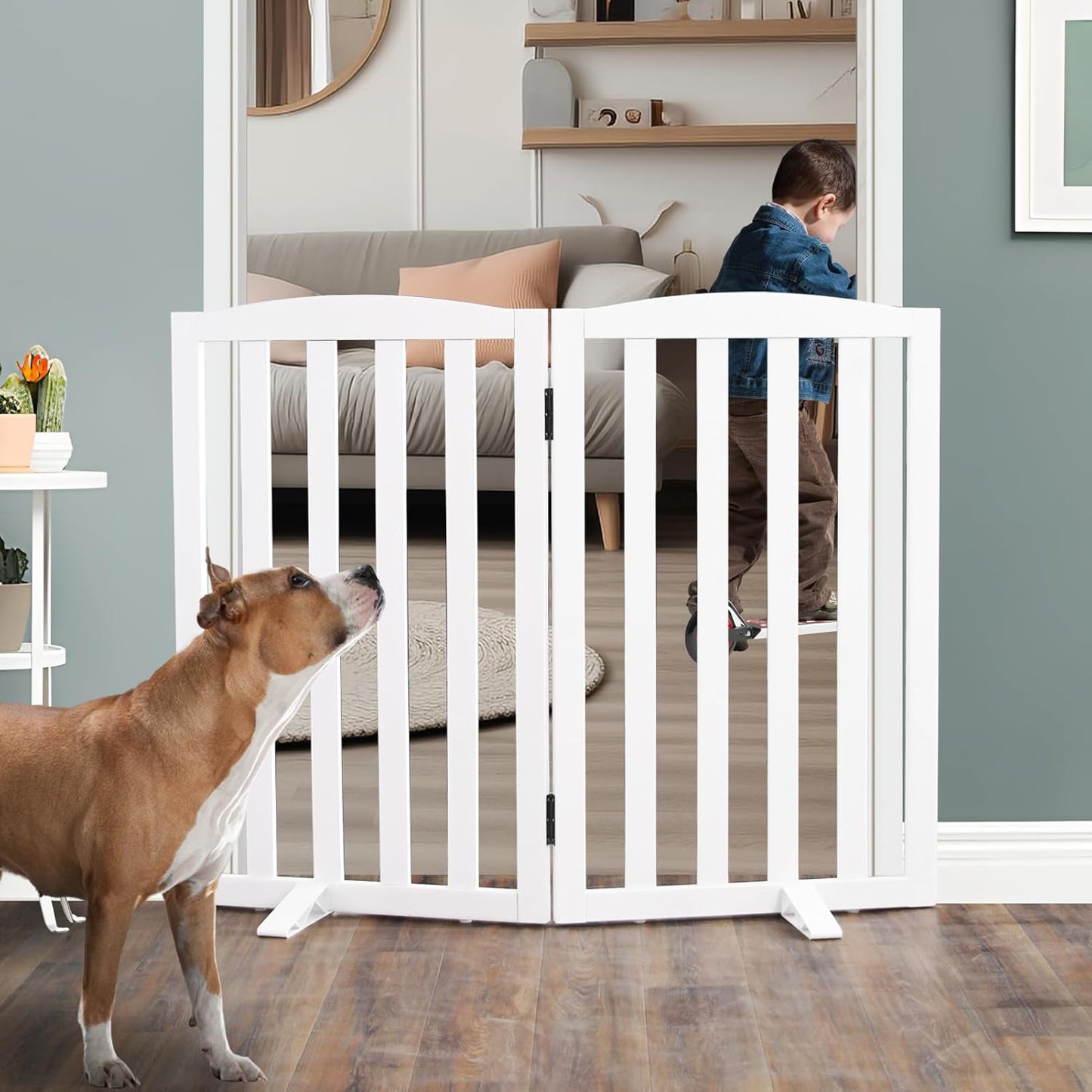 ZJSF Foldable Freestanding Indoor Dog Gate for House Use