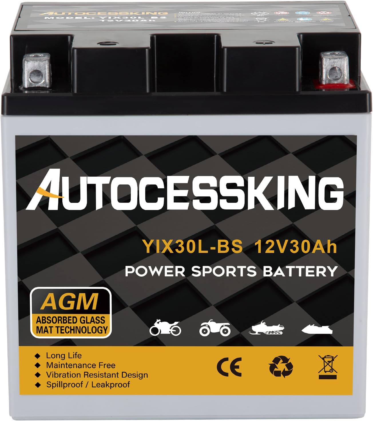 YTX30L-BS Motorcycle Battery - Reliable 12V 30Ah SLA Power