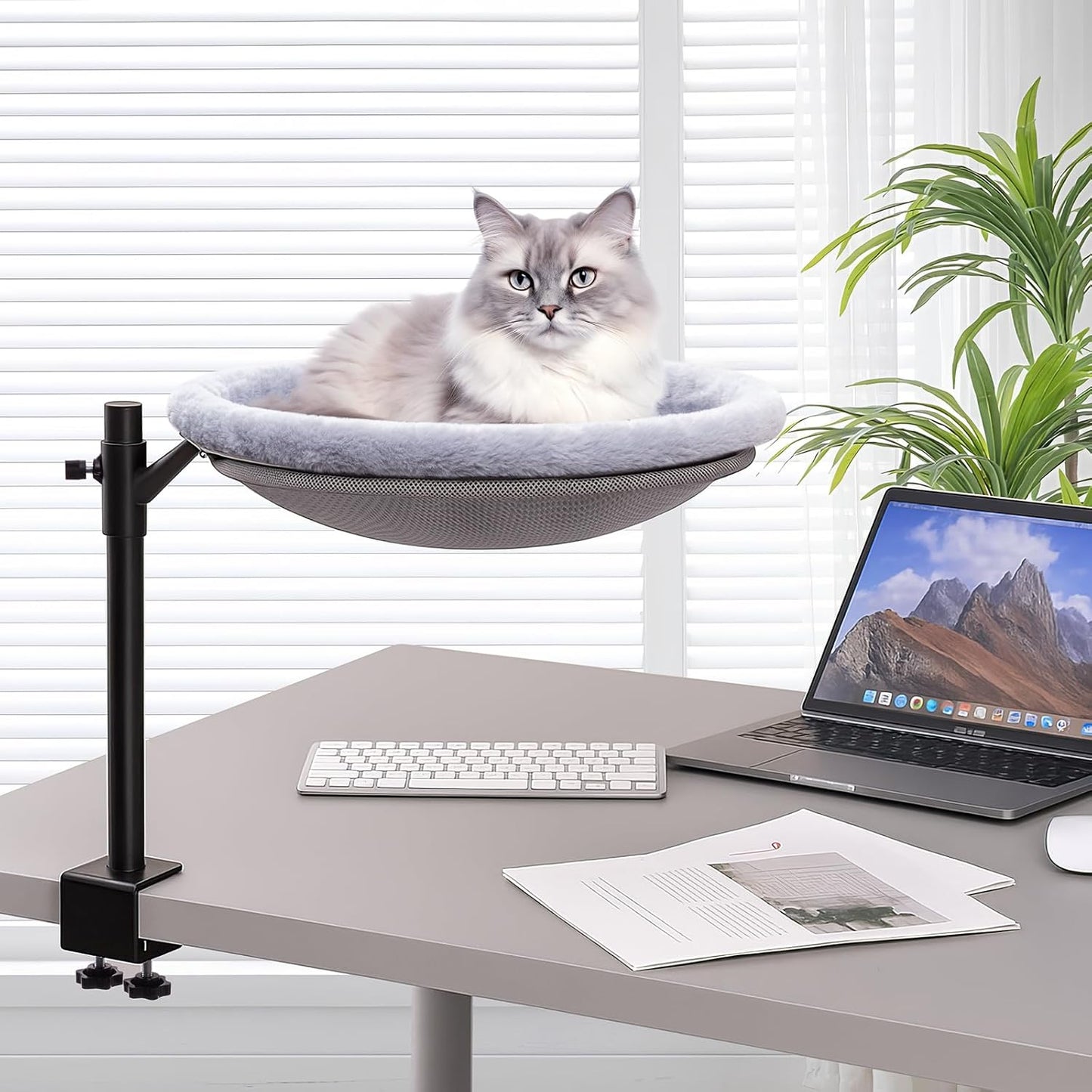 Sturdy Cat Desk Bed with 360 Rotating Hammock for Indoor Cats