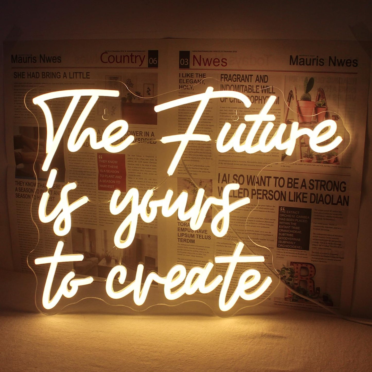 Create Your Dream Space with The Future is Yours Neon Sign