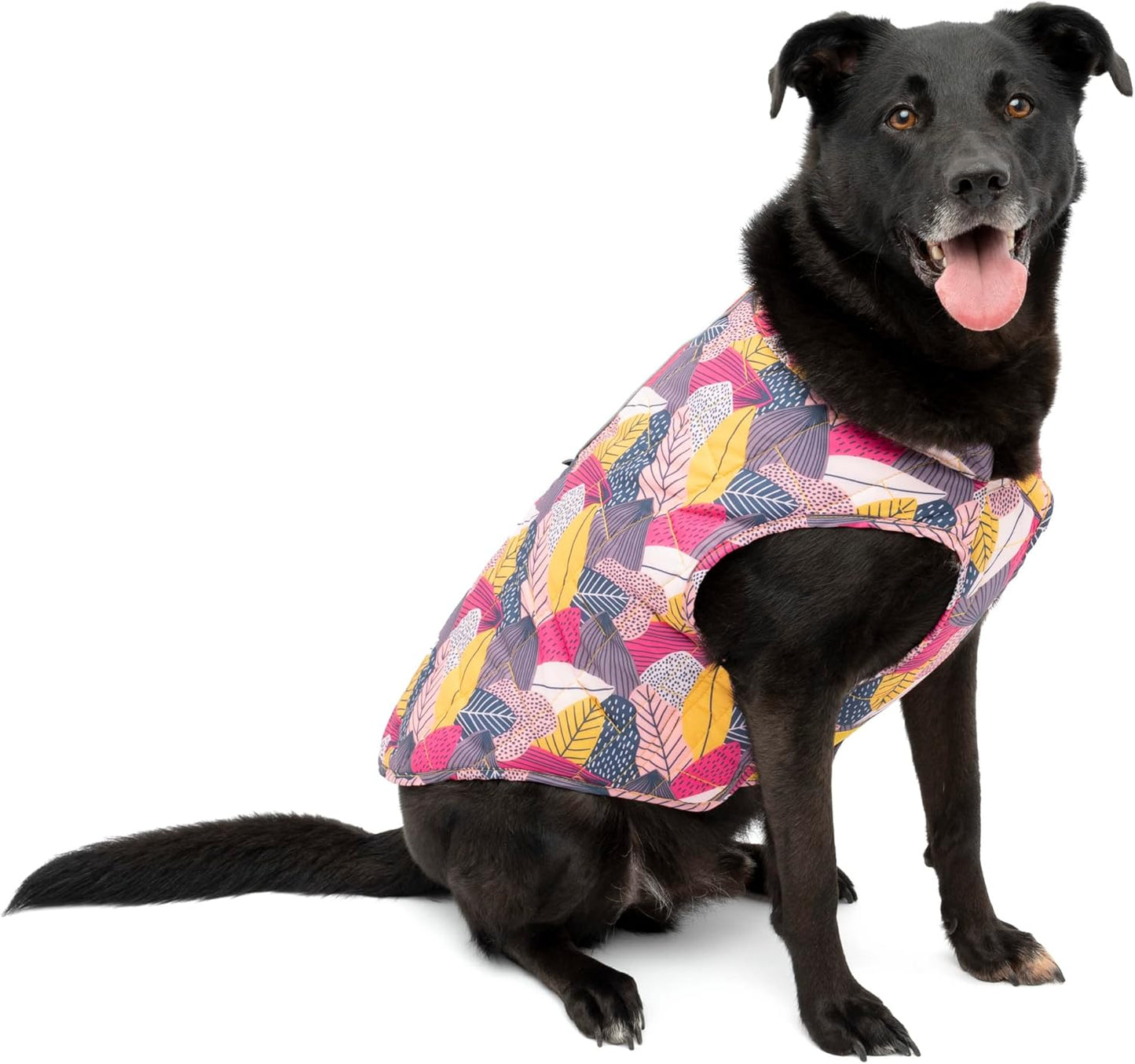 Kurgo Loft Dog Jacket - Cozy Reversible Coat for Active Dogs