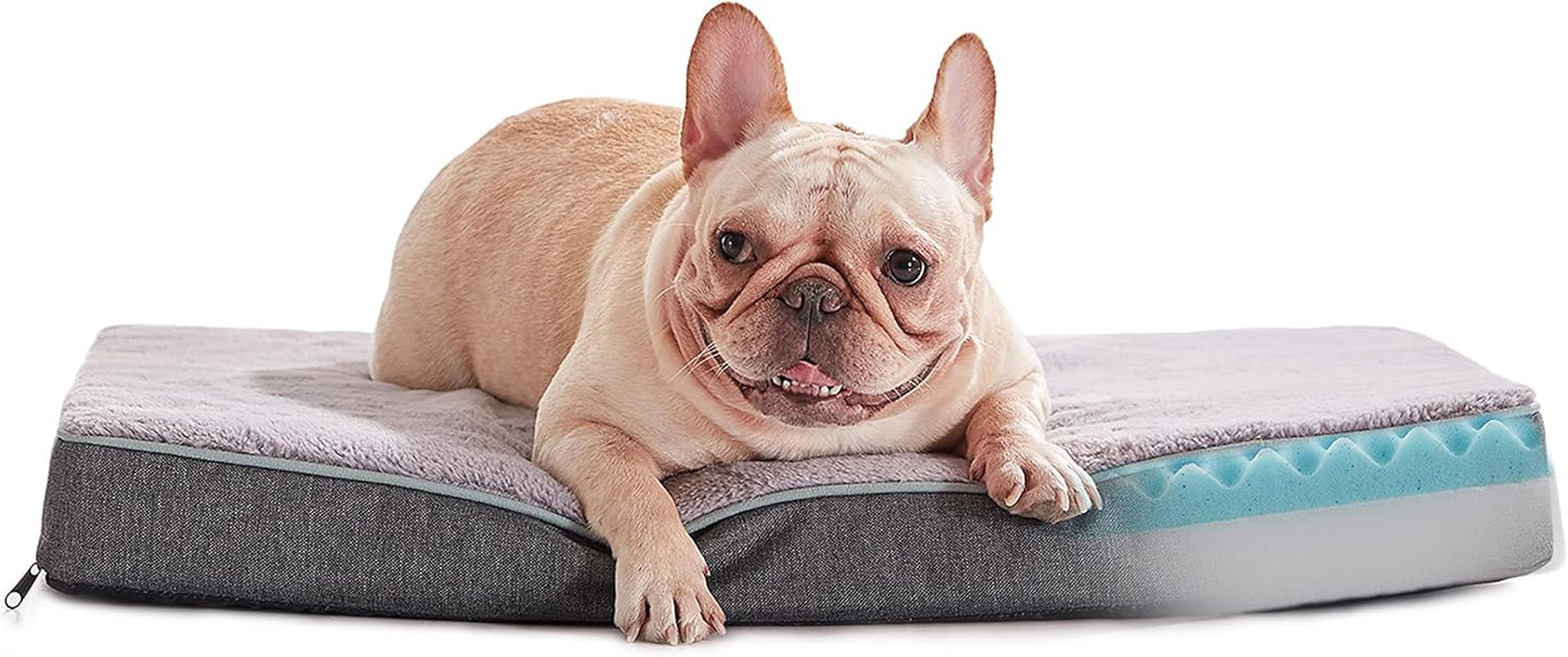 Medium Dog Beds for Medium Dogs with Memory Foam Comfort