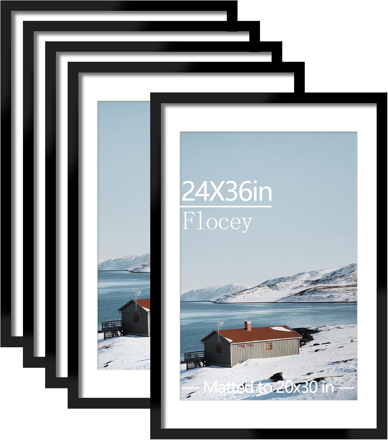 24x36 Picture Frame Set of 5 for Horizontal or Vertical Display