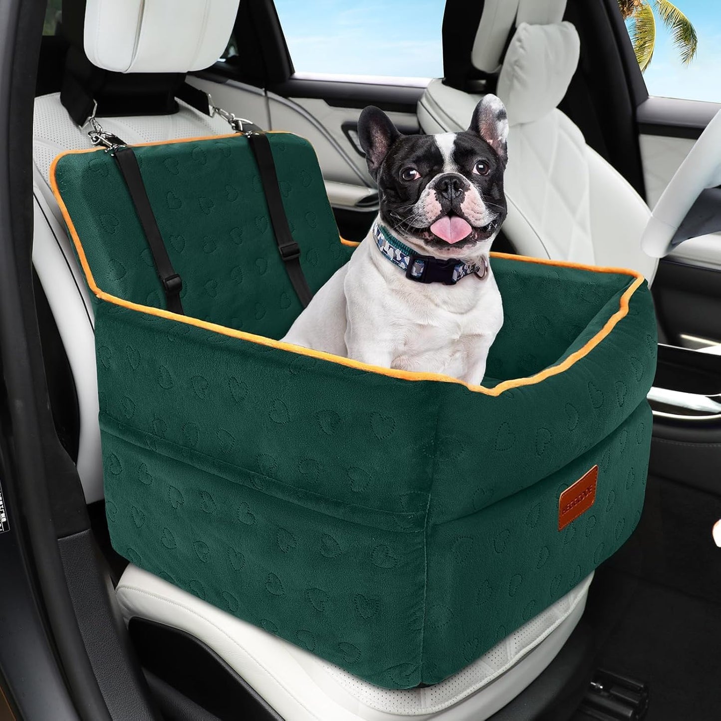 Elevated Dog Car Seat for Small Medium Dogs with Safety Belts