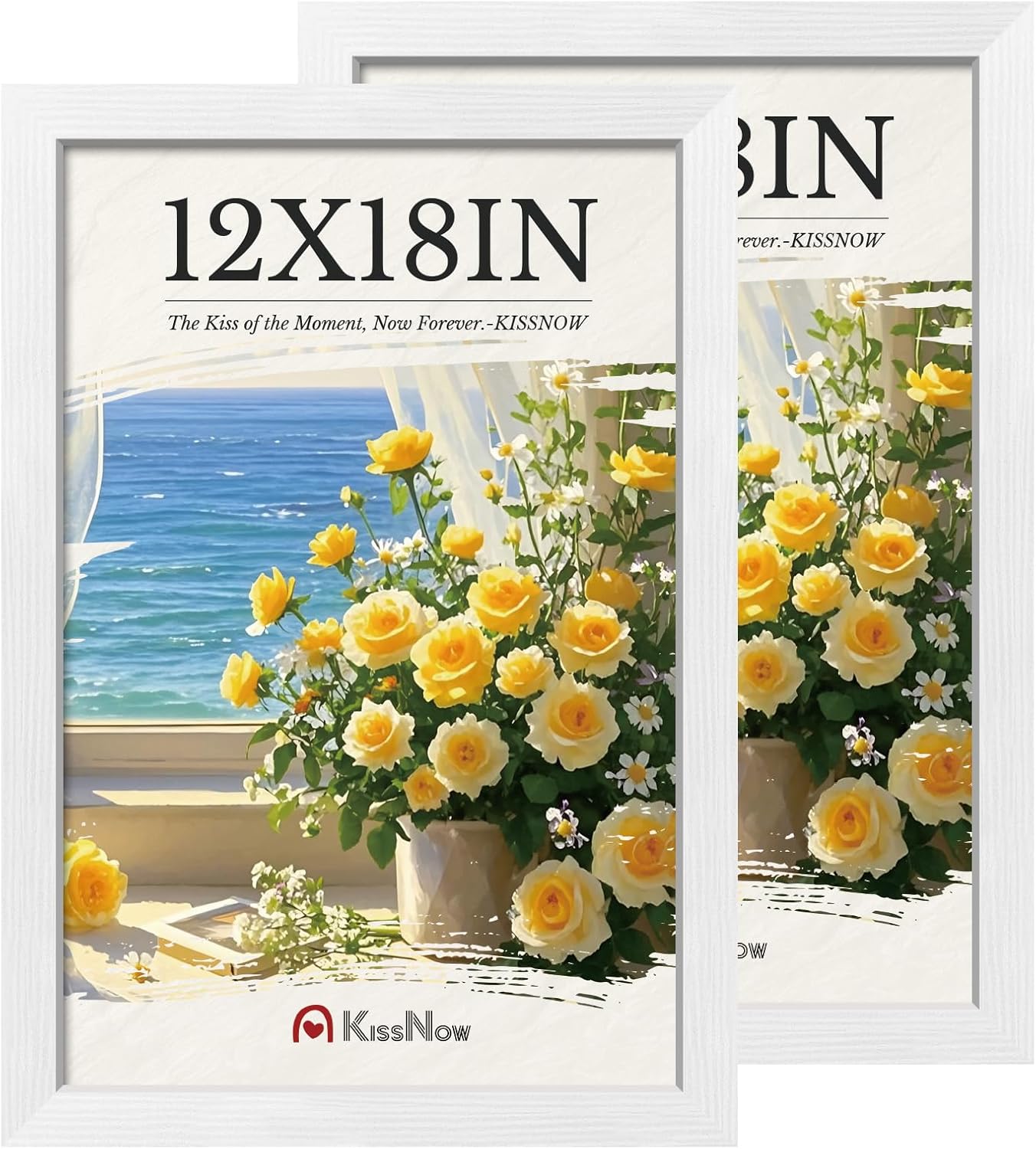12x18 Poster Frame 2 Pack for Elegant Wall Display