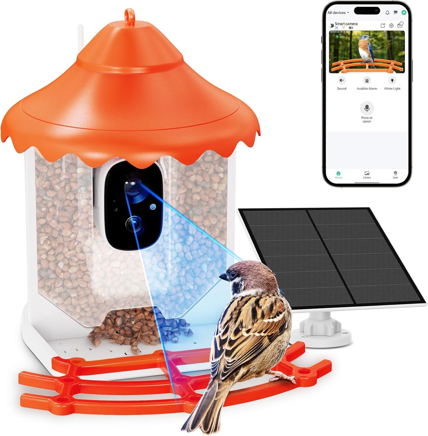 Smart Solar Bird Feeder - AI Species ID, Notifications, Live Video!