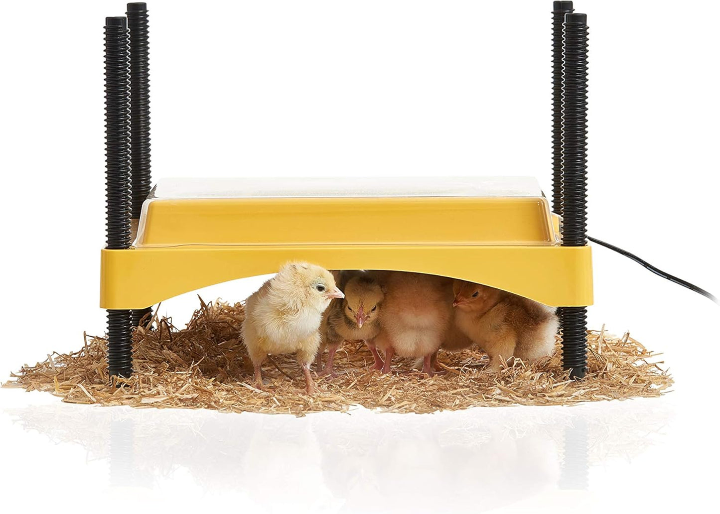 Brinsea Ecoglow Safety 600 Brooder Plate for Chicks & Ducklings