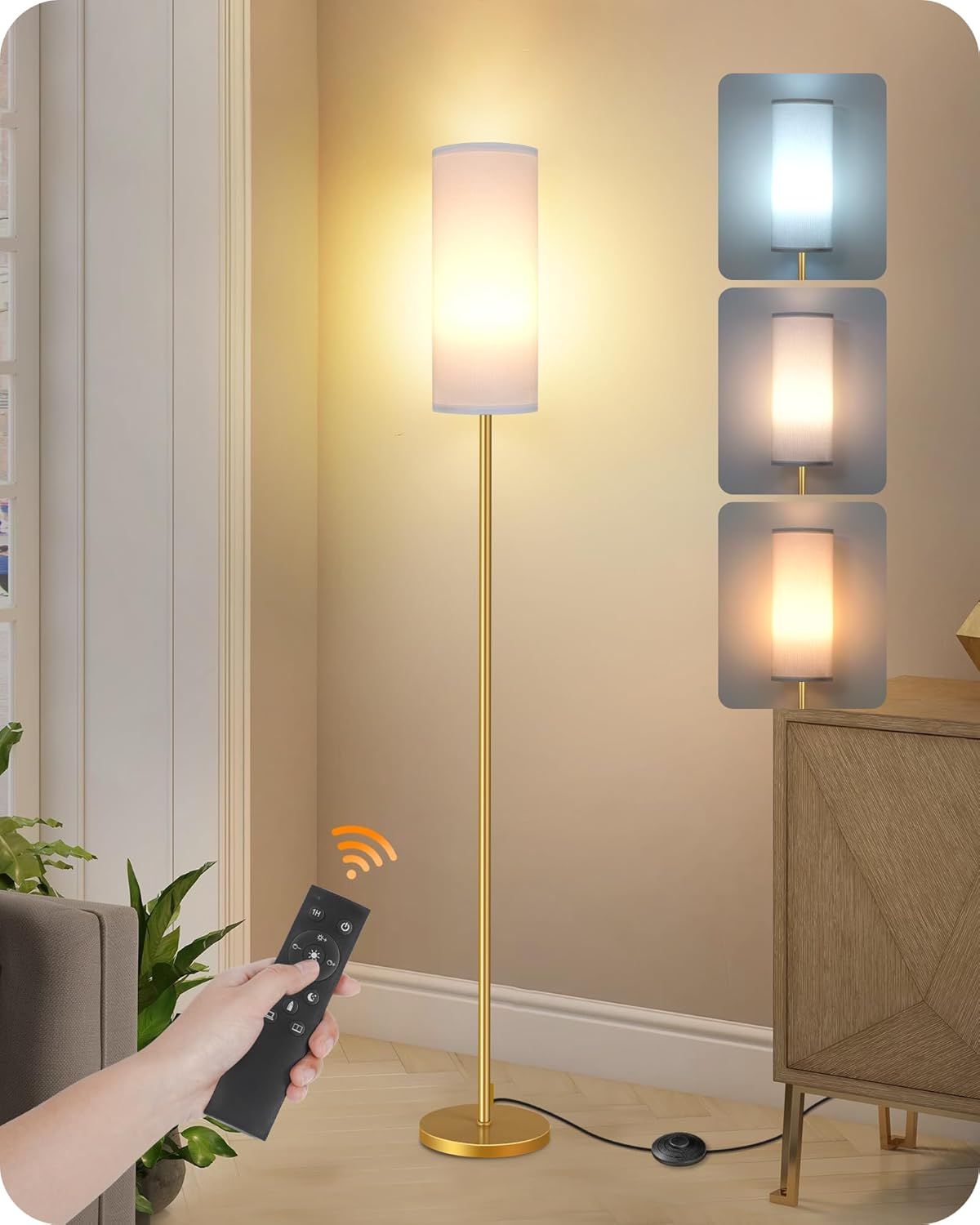 Dimmable Floor Lamp for Living Room with Remote Control Features
