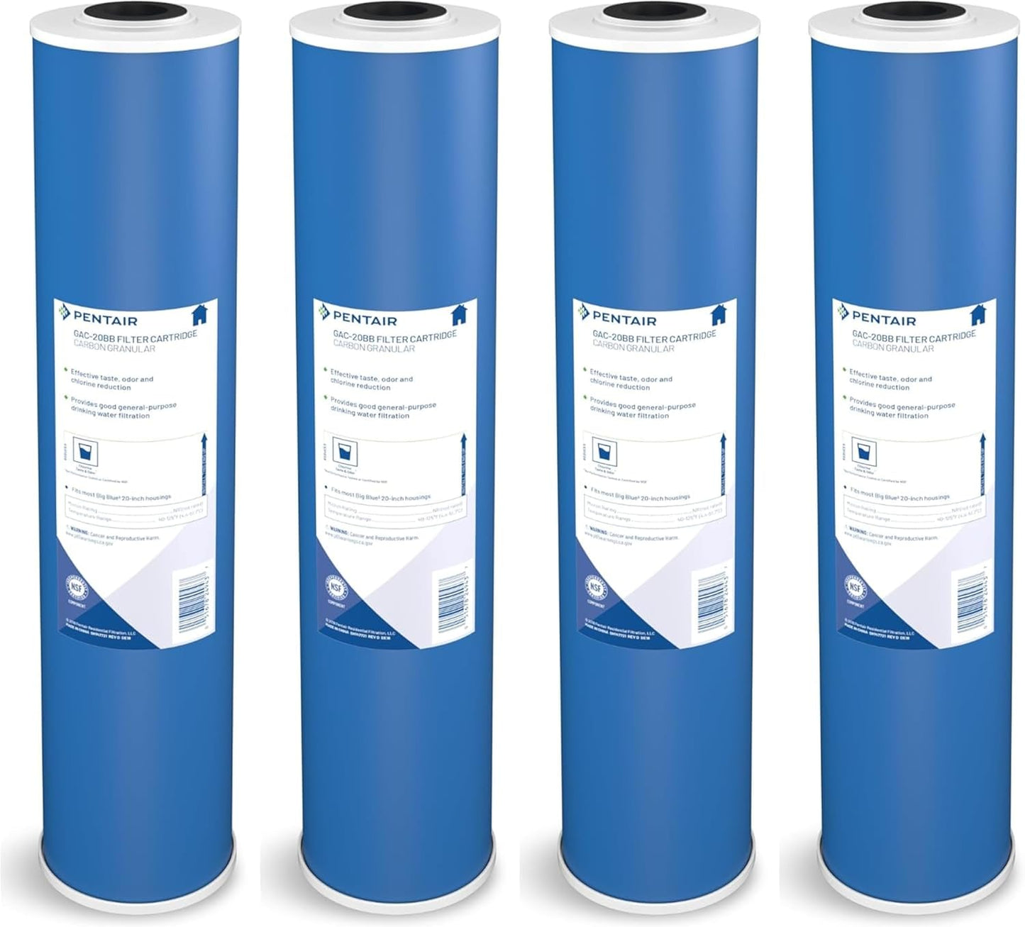 Pentair Pentek GAC-20BB Big Blue Carbon Water Filter Review