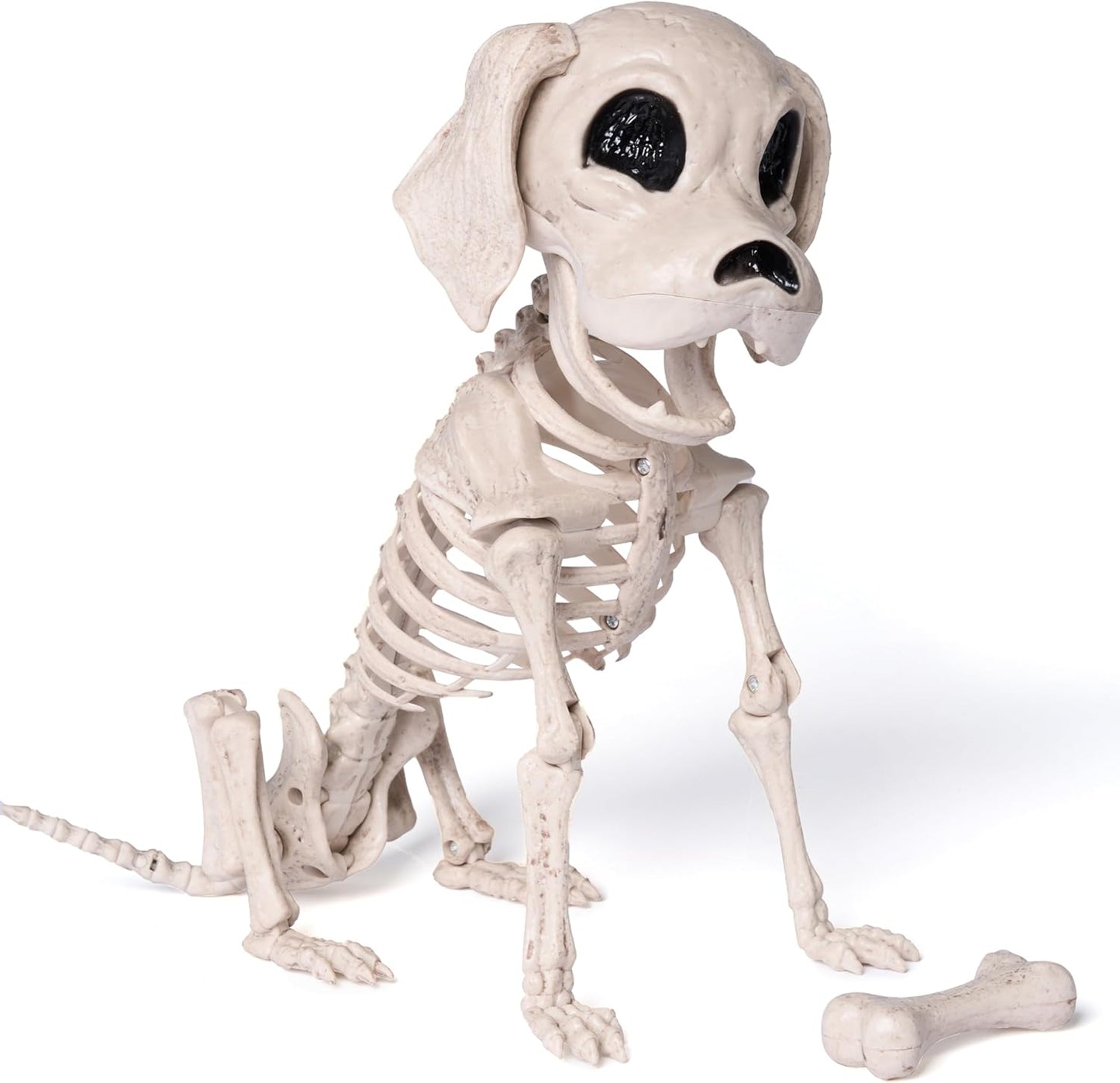 Poseable Halloween Dog Skeleton for Spooky Decor and Parties