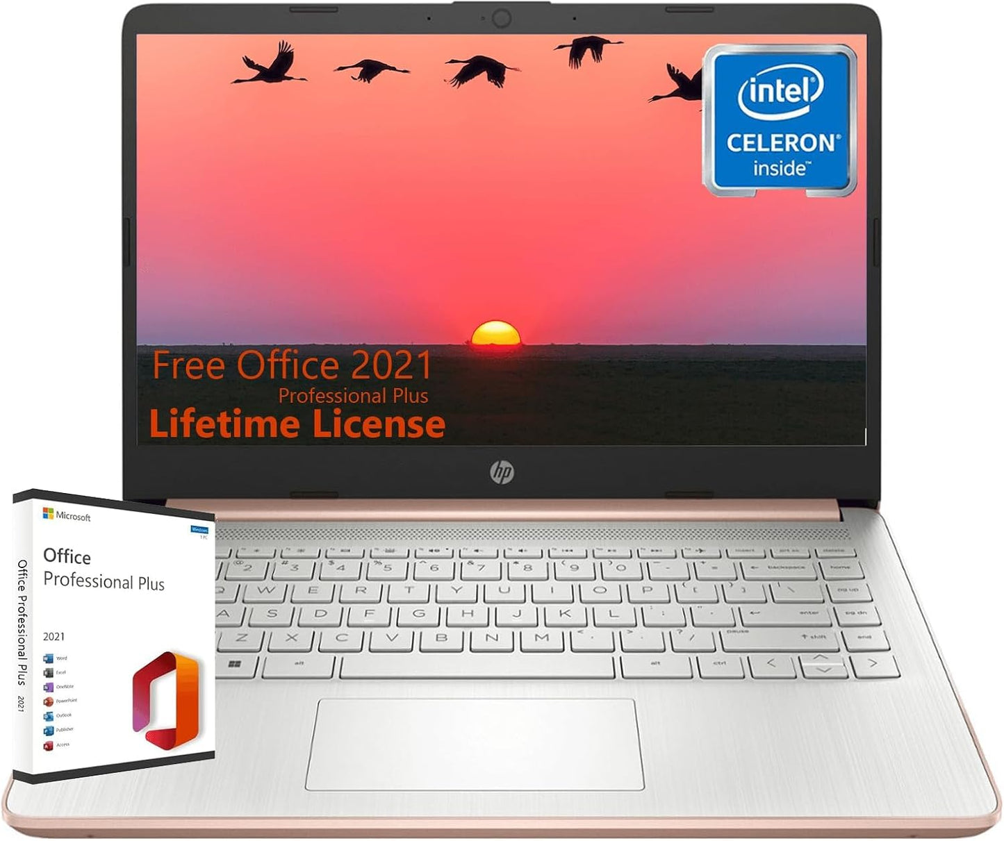 HP Thin Everyday Laptop with 16GB RAM and 256GB Storage
