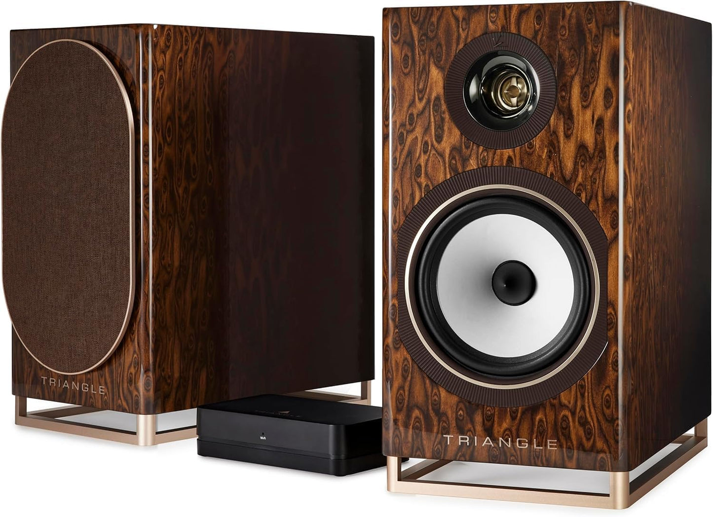 Capella Wireless 100W Speakers - Hi-Fi Sound