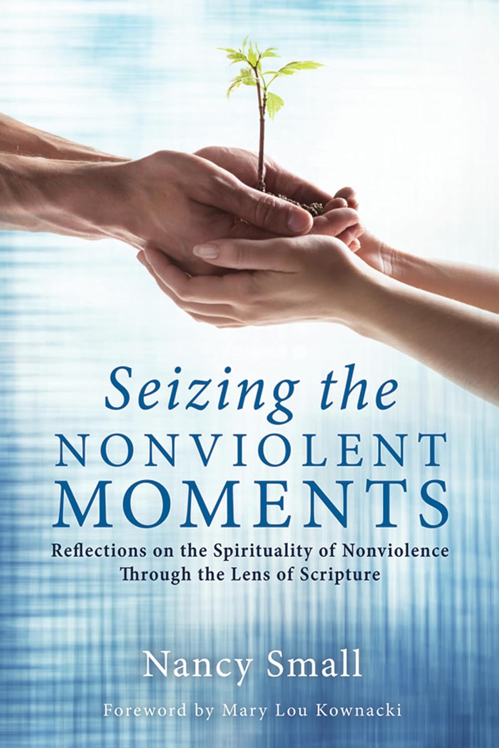 Seizing the Nonviolent Moments: Spiritual Reflections on Scripture