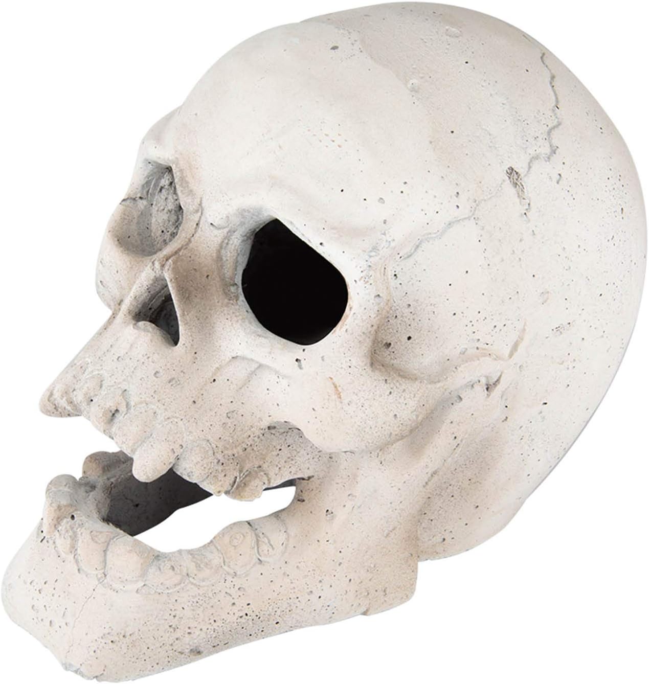 Stanbroil Fire Pits 9 Inch Skull Decoration for Halloween Decor