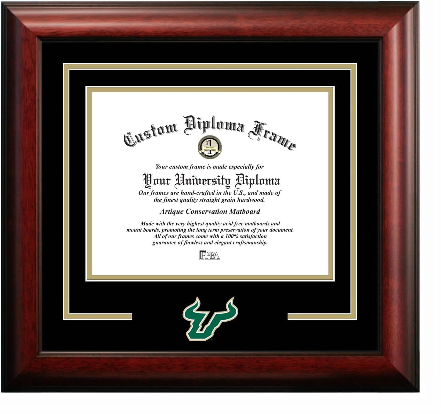 Campus Images NCAA Spirit Diploma Frame for Proud Graduates