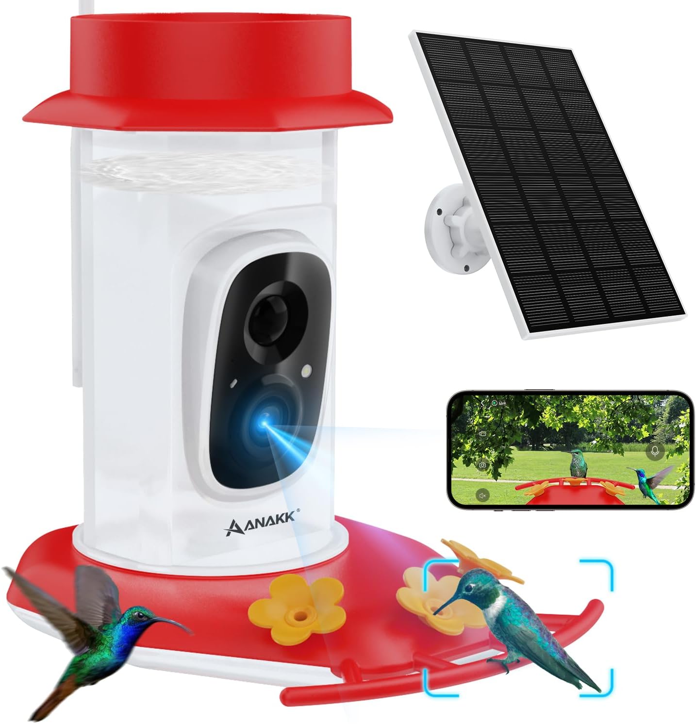 Night Vision Hummingbird Feeder with Camera