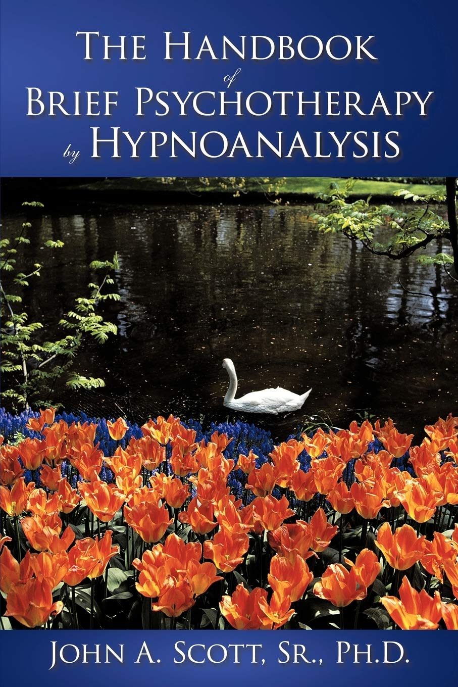 The Handbook of Brief Psychotherapy: A Comprehensive Guide