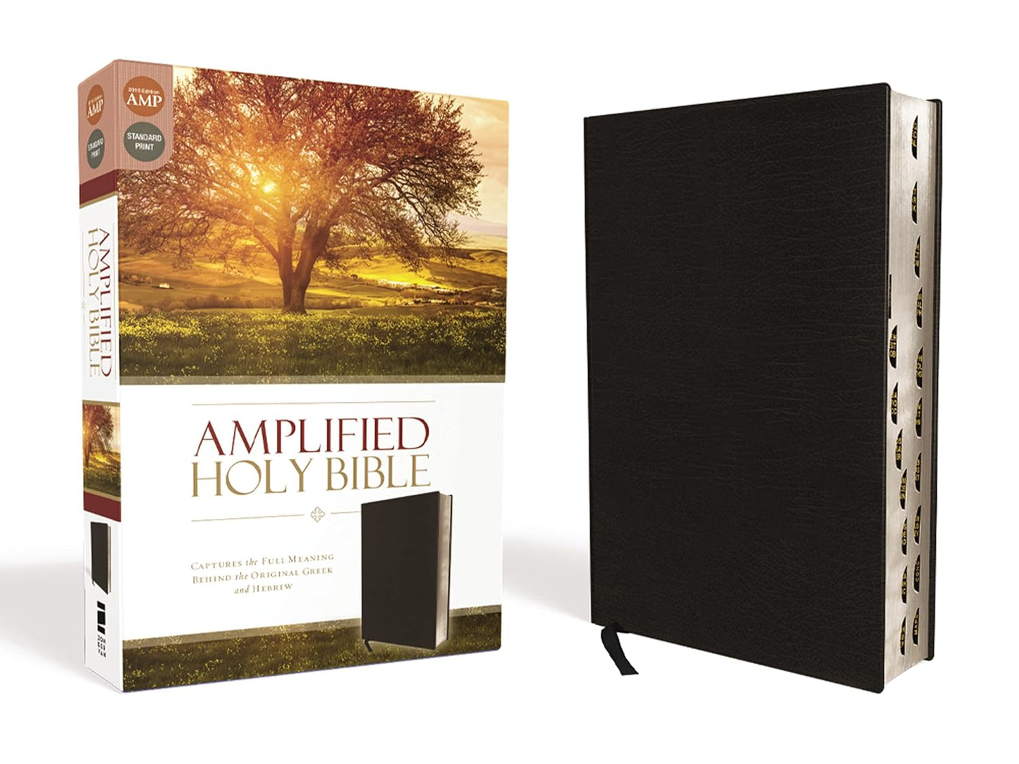 Amplified Holy Bible in Bonded Leather with Thumb Indexing