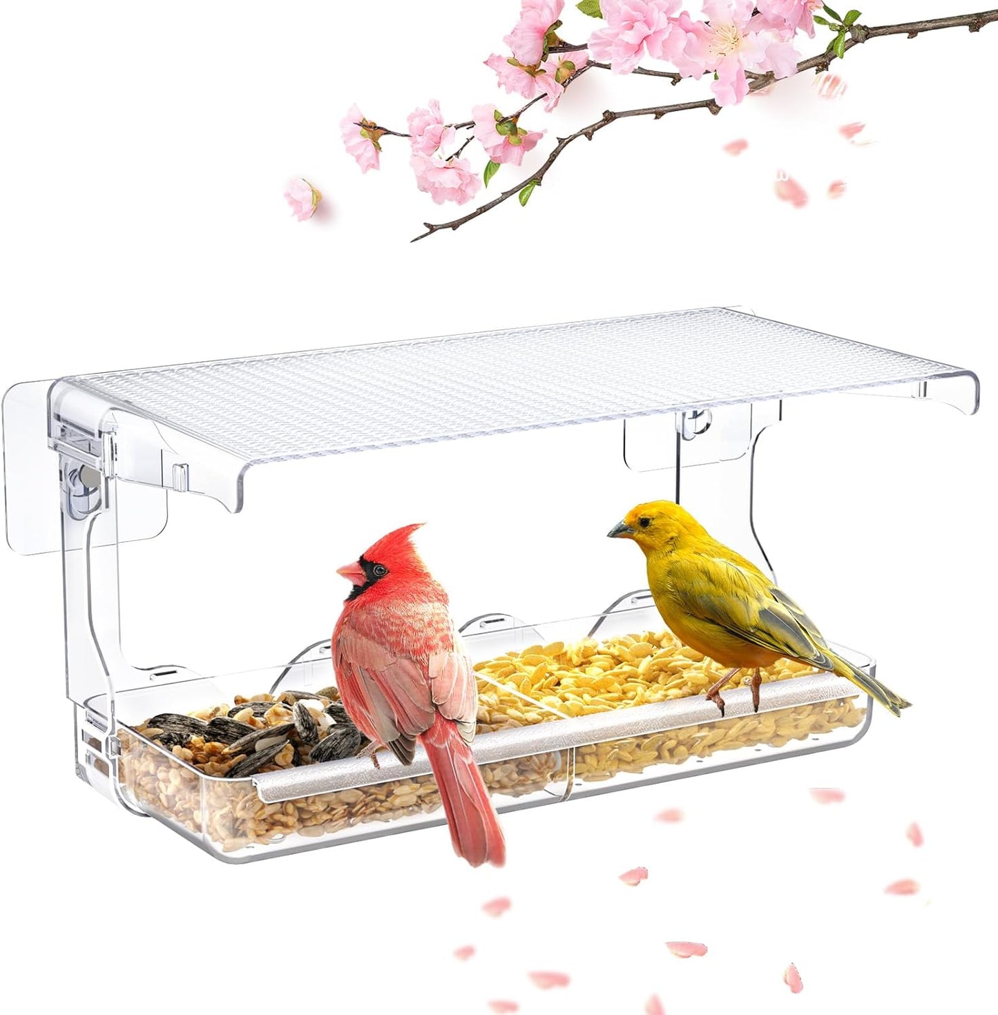 SUNALLY Clear Window Bird Feeder: Ultimate Bird Watching!