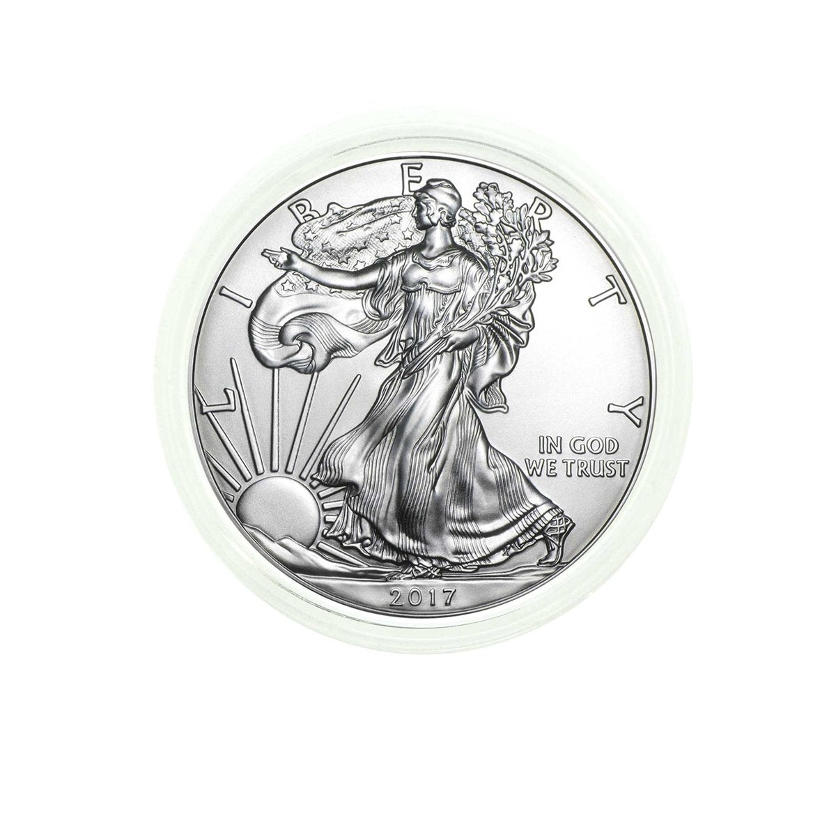 2017 1 oz American Silver Eagle Coin with Certificate of Authenticity