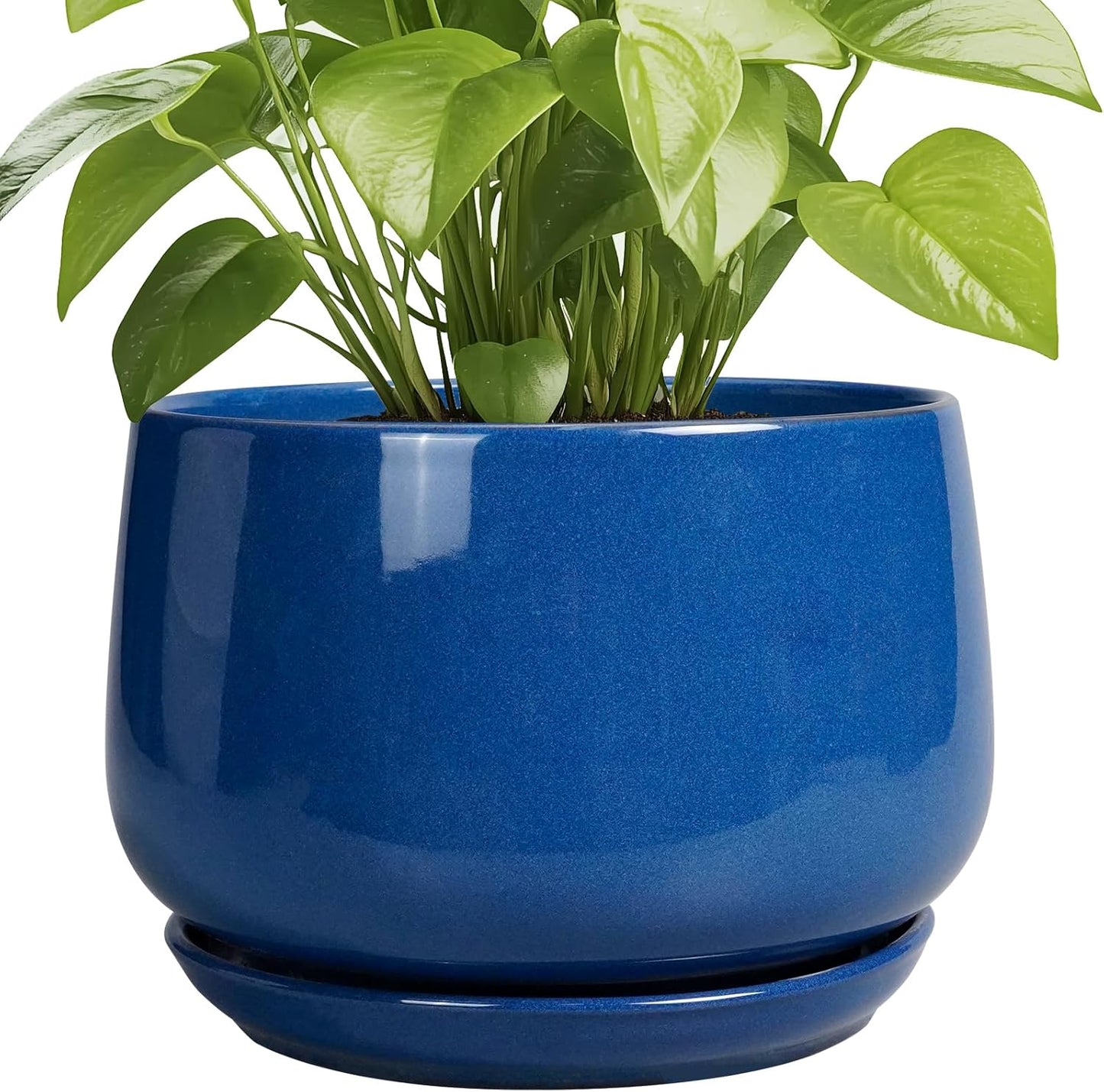 Modern 9 Inch Ceramic Pots for Plants with Drainage Tray