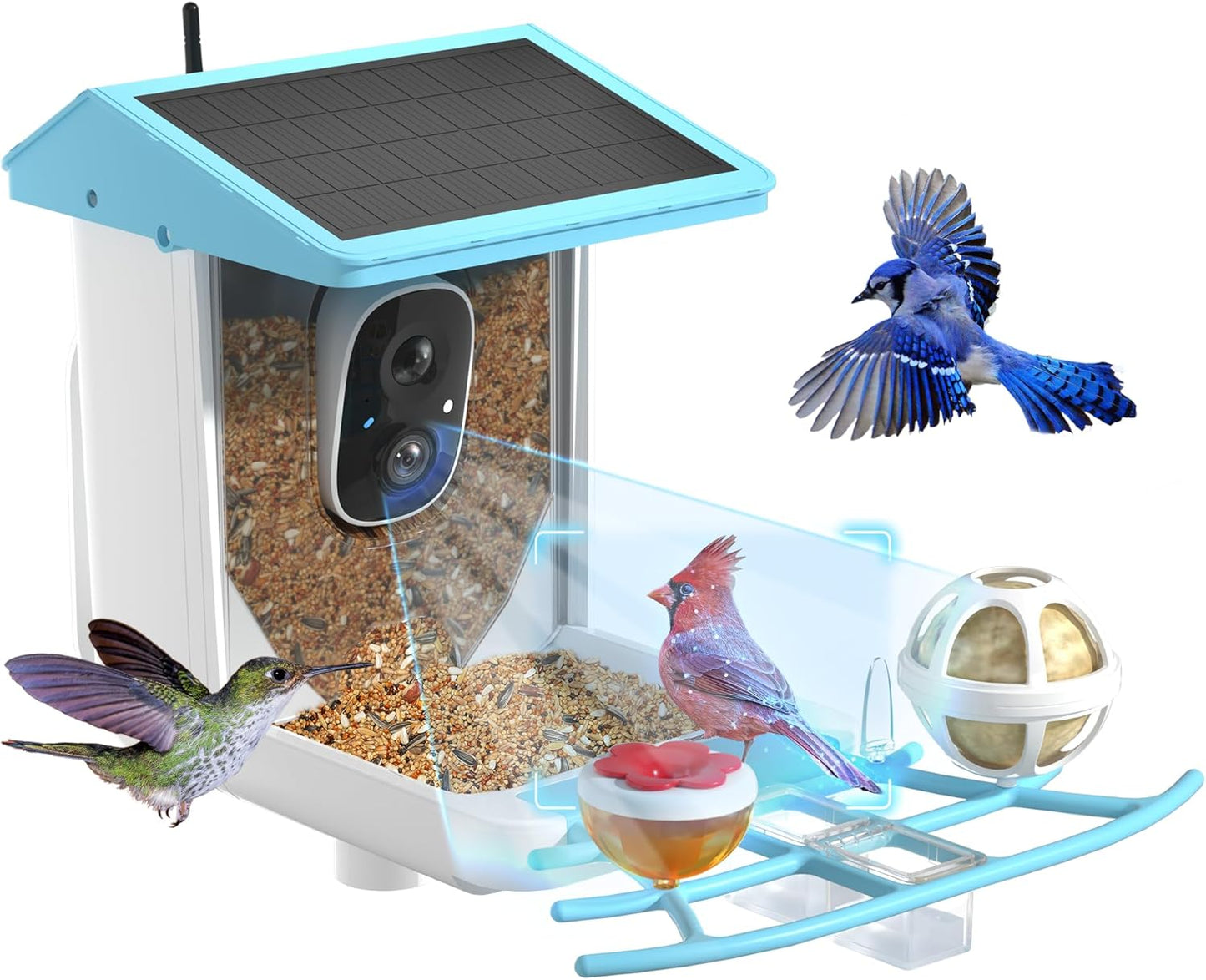 Smart Bird Feeder camera | HD Live View+Auto Record | PETCAL