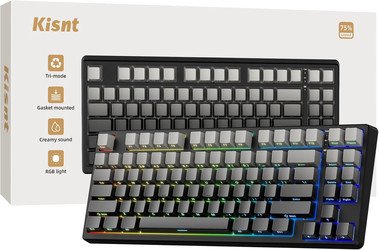 Wireless Mechanical Keyboard with RGB Backlit for Gaming and Typing