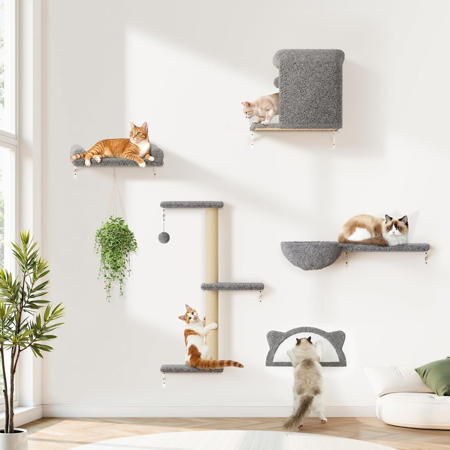 Cat Wall Shelves 5-in-1 Modern Climbing Furniture Set for Cats