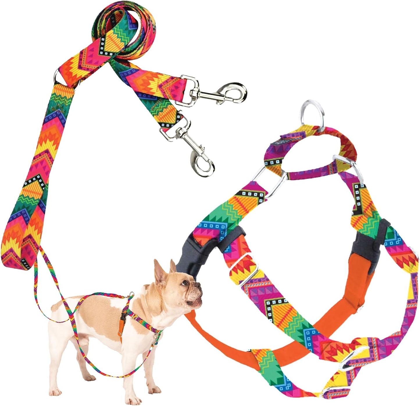 Freedom No-Pull Harness & Training Leash for Small Dogs