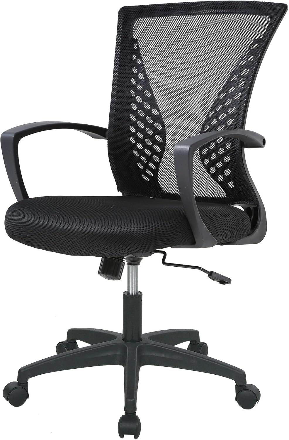 Home Office Chair with Lumbar Support and Adjustable Features